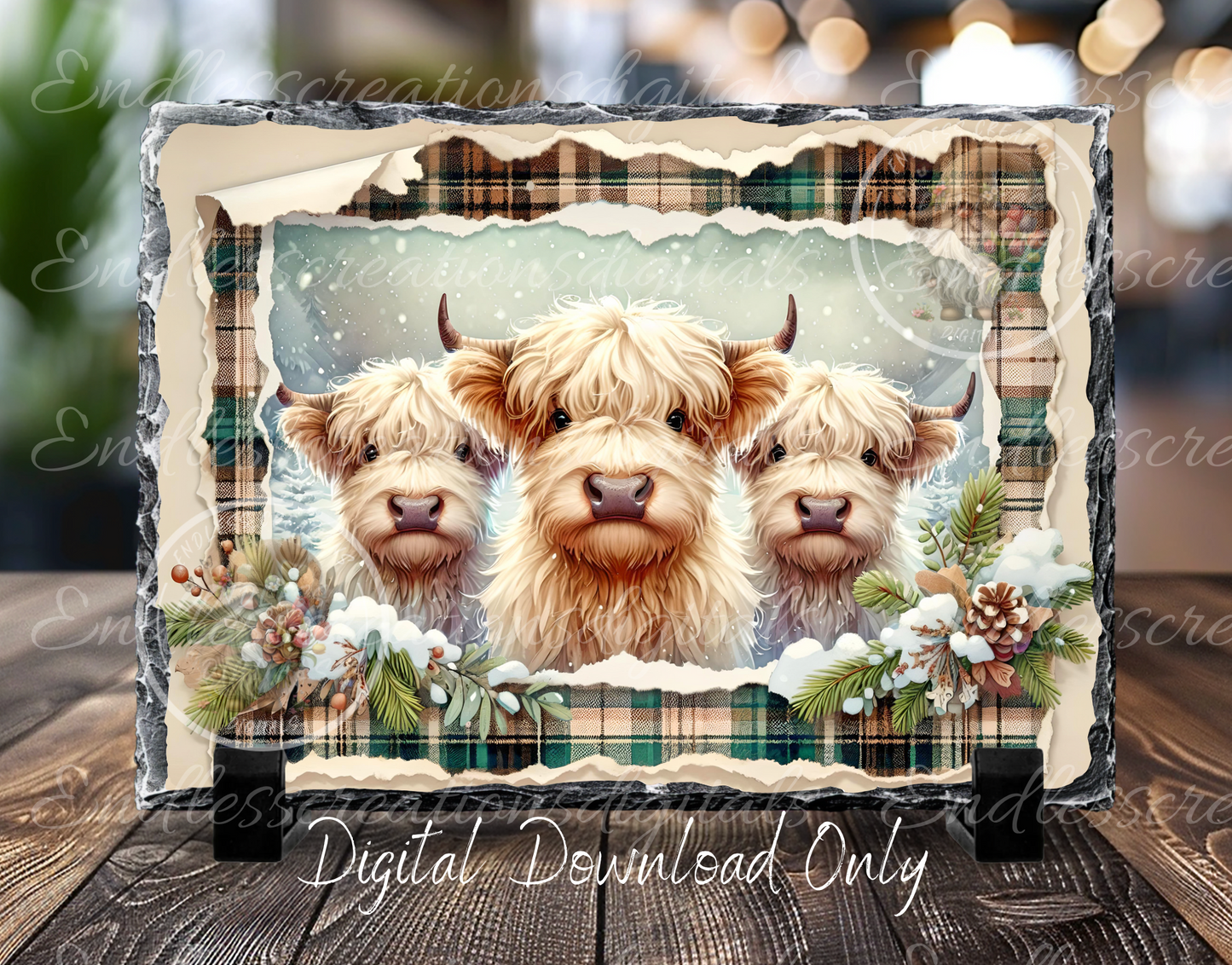 WINTER HIGHLAND COWS TIN/RECTANGLE