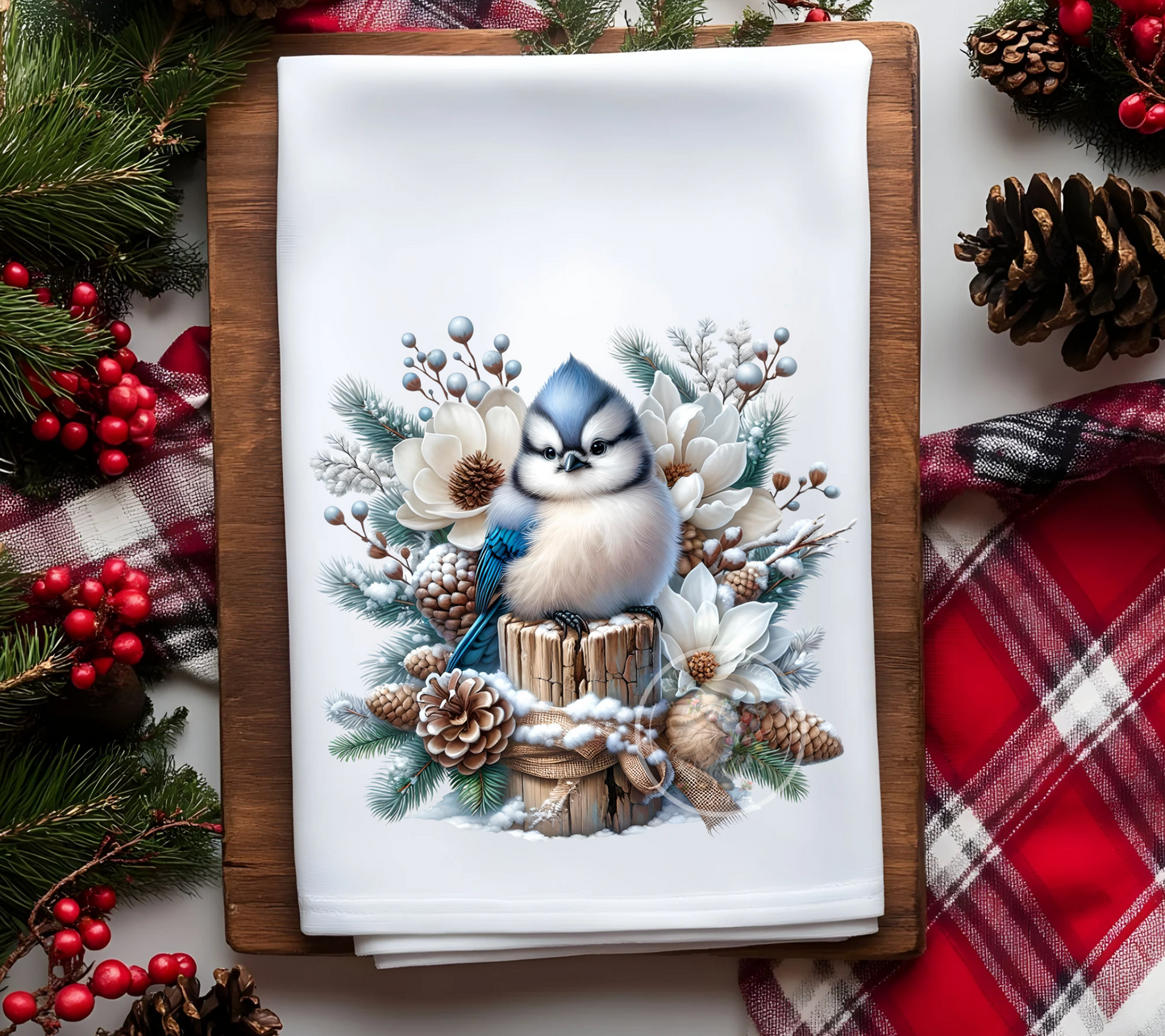 BUNDLE OF 6 ADORABLE WINTER BLUE JAYS TRANSPARENCIES