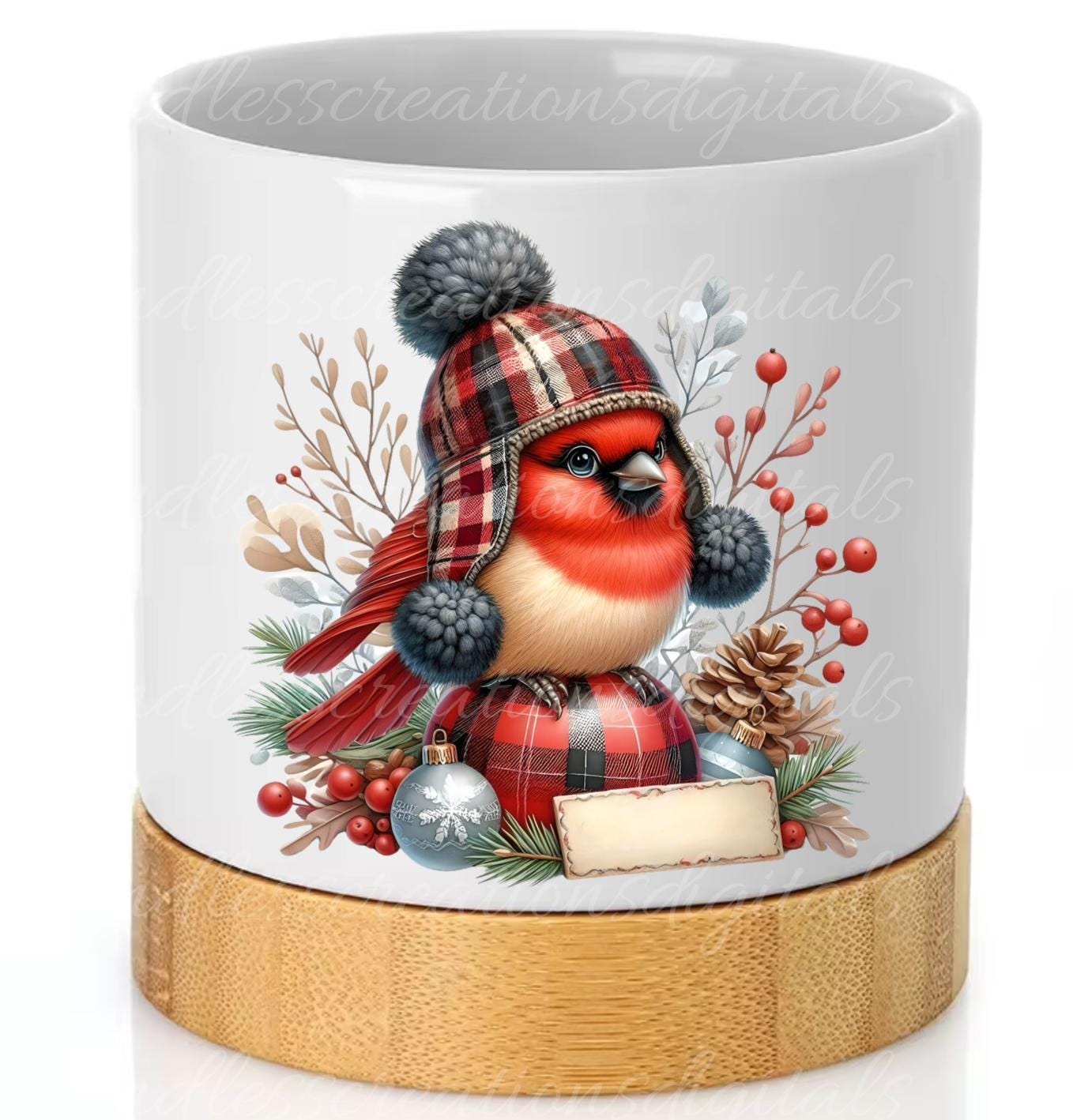 CUTE CARDINAL WINTER TRANSPARENIES