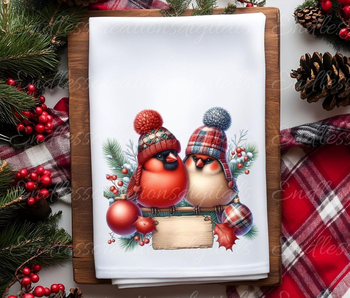 CUTE CARDINAL WINTER TRANSPARENIES