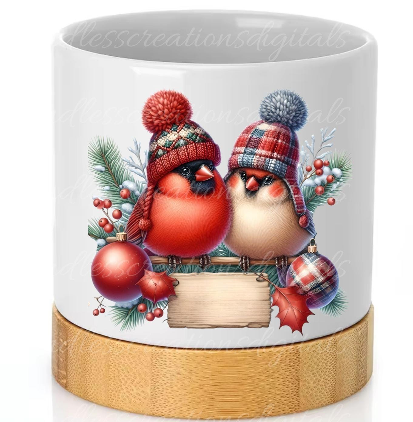CUTE CARDINAL WINTER TRANSPARENIES