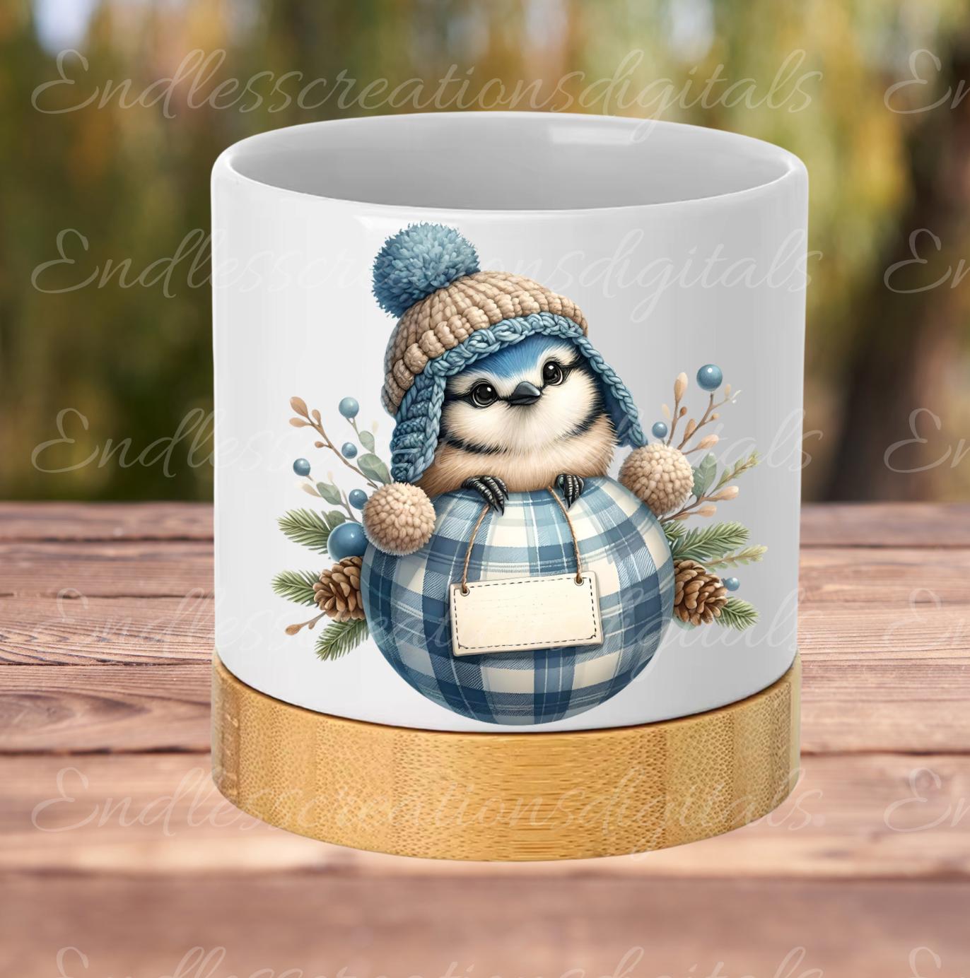CUTE BLUEJAY CHRISTMAS TRANSPARENCIES