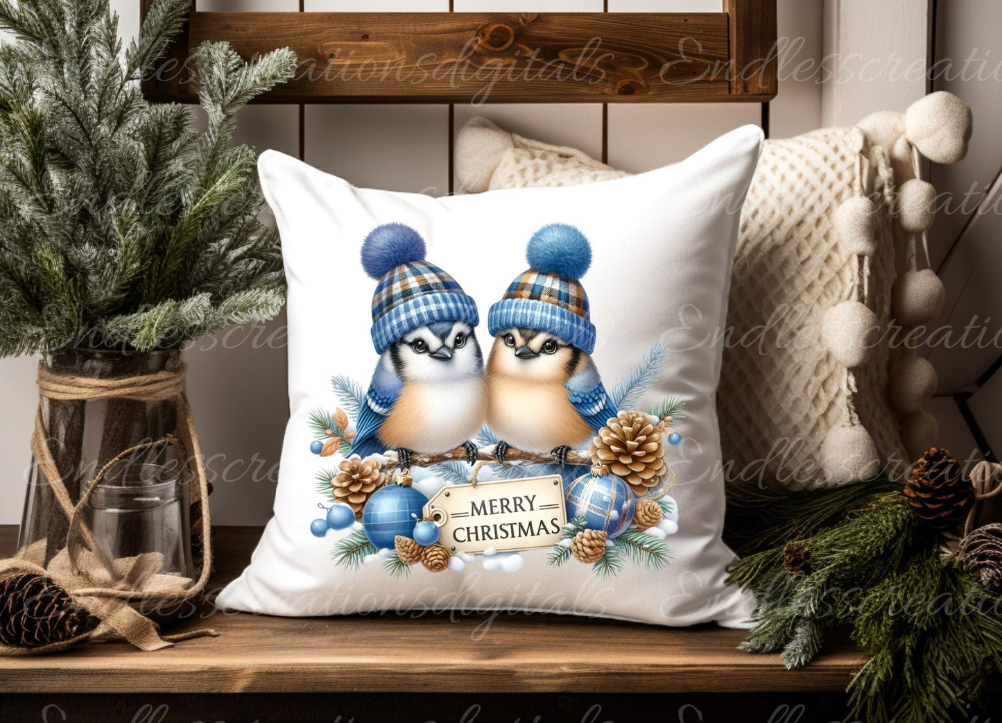 CUTE BLUEJAY CHRISTMAS TRANSPARENCIES