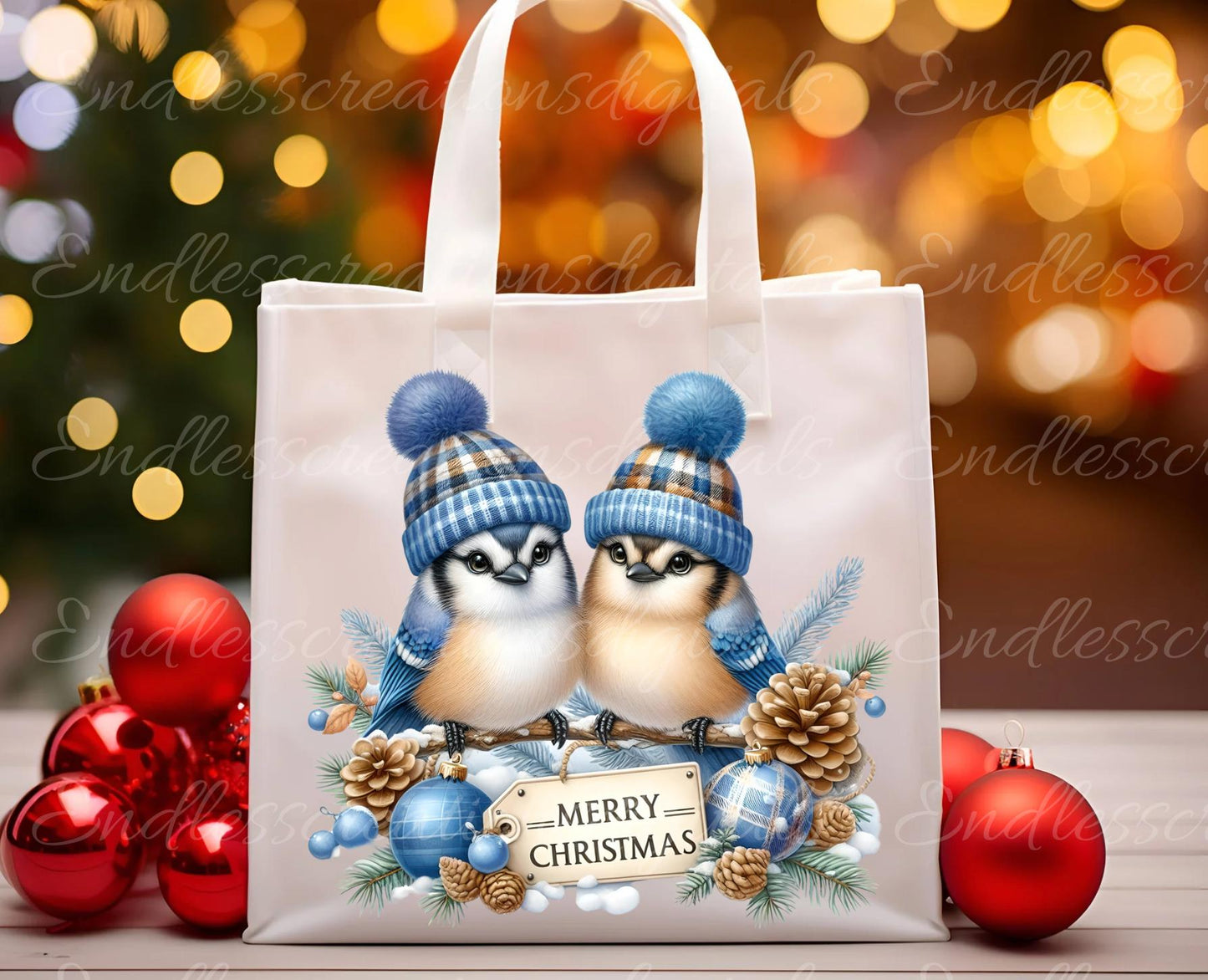 CUTE BLUEJAY CHRISTMAS TRANSPARENCIES
