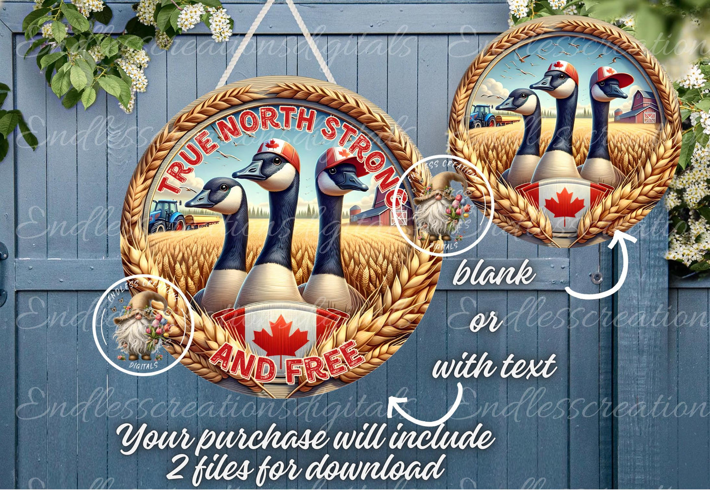 CANADA GEESE TRUE North Strong
