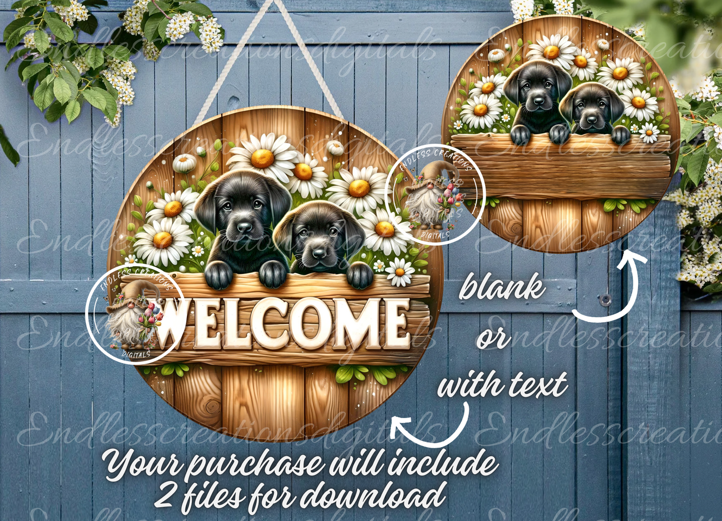 WELCOME SUMMER DASIES AND LAB PUPPIES