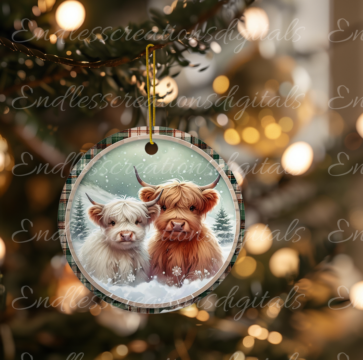 MOOEY CHRISTMAS HIGHLANDS