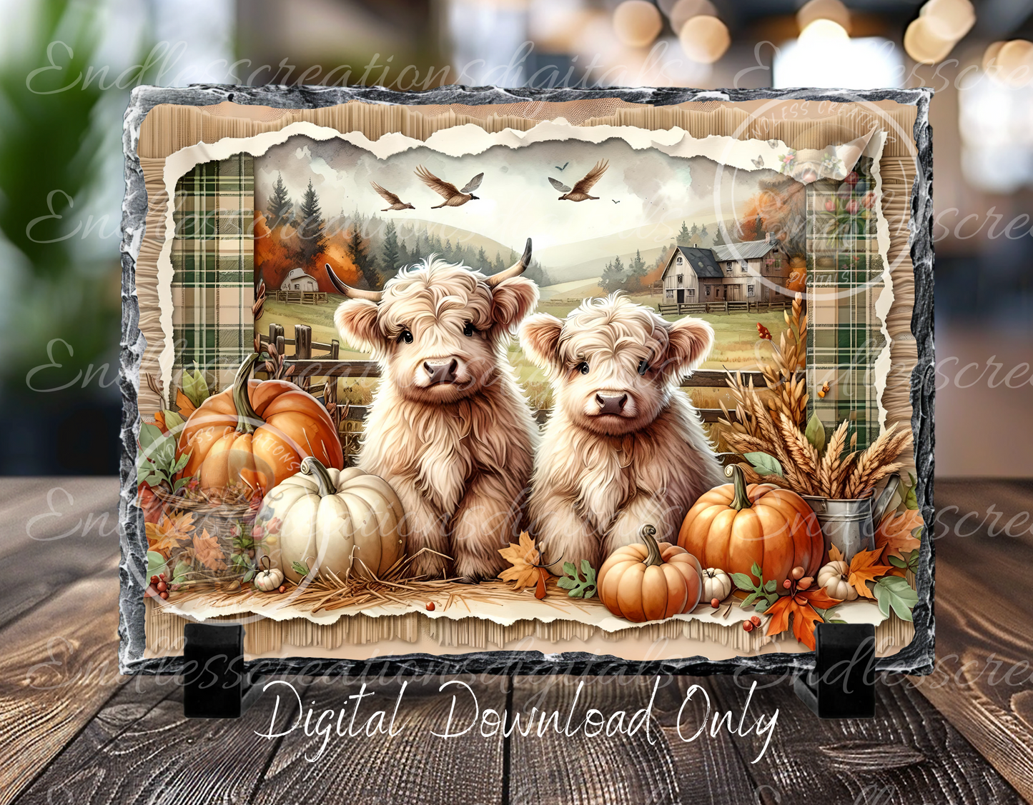 FALL BABY HIGHLANDS TIN/RECTANGLE/SLATES