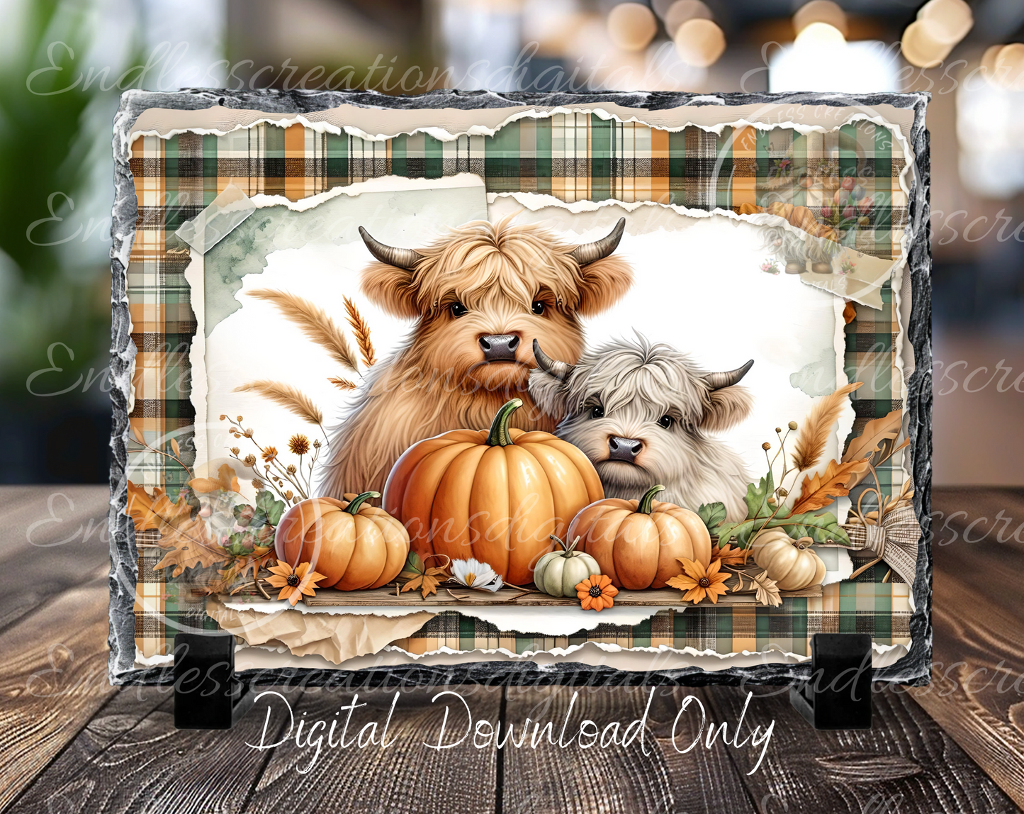 FALL BABY HIGHLAND COWS TIN/RECTANGLE