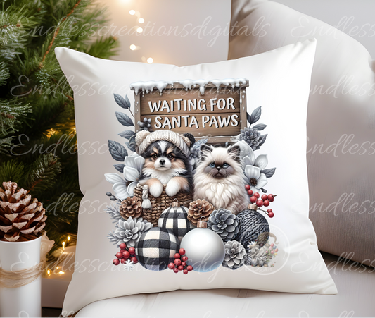 WINTER PUPPIES/KITTENS TRANSPARENCIES