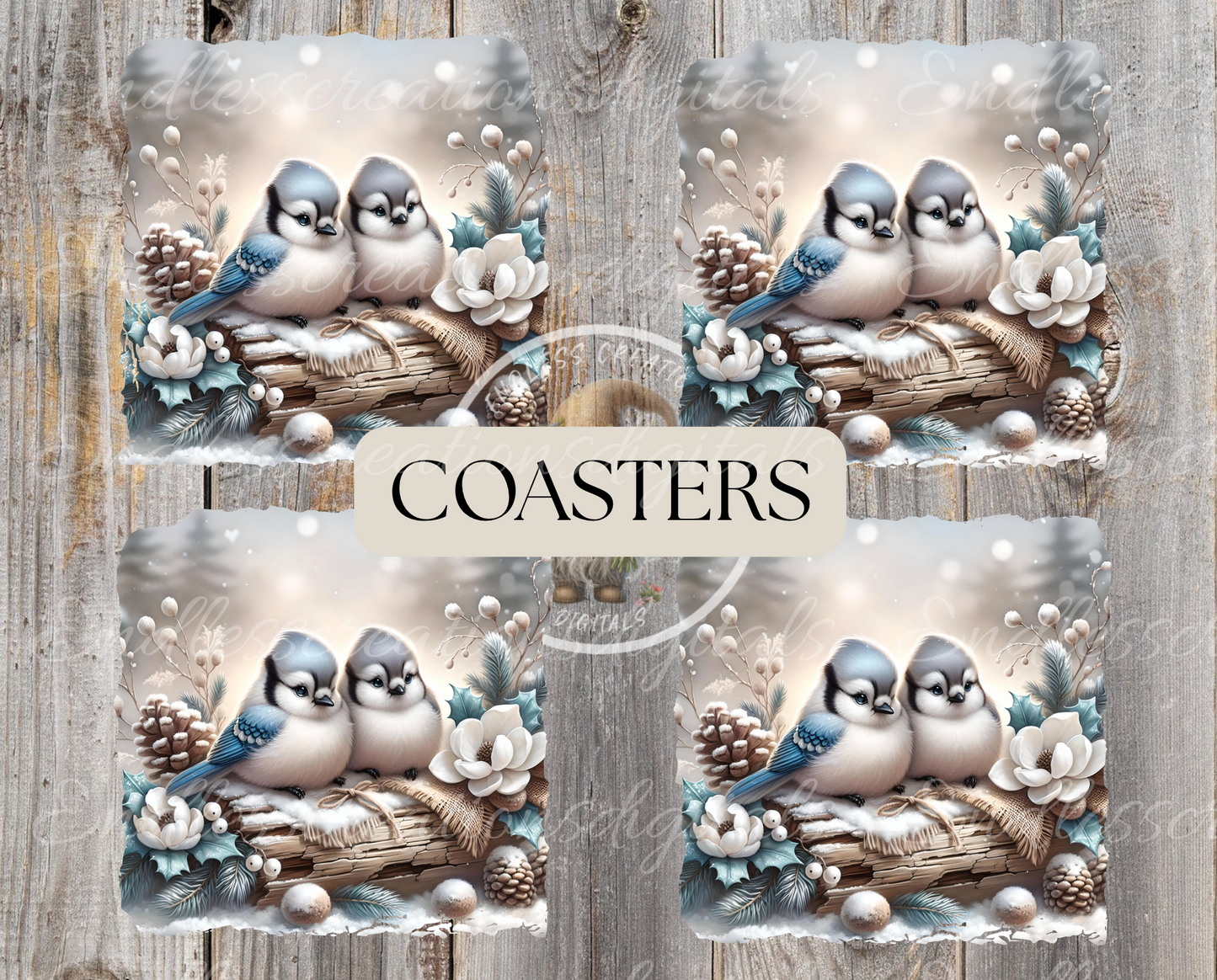 WINTER BABY BLUE JAYS BUNDLE