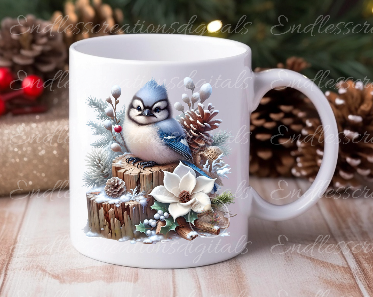 BUNDLE OF 6 ADORABLE WINTER BLUE JAYS TRANSPARENCIES