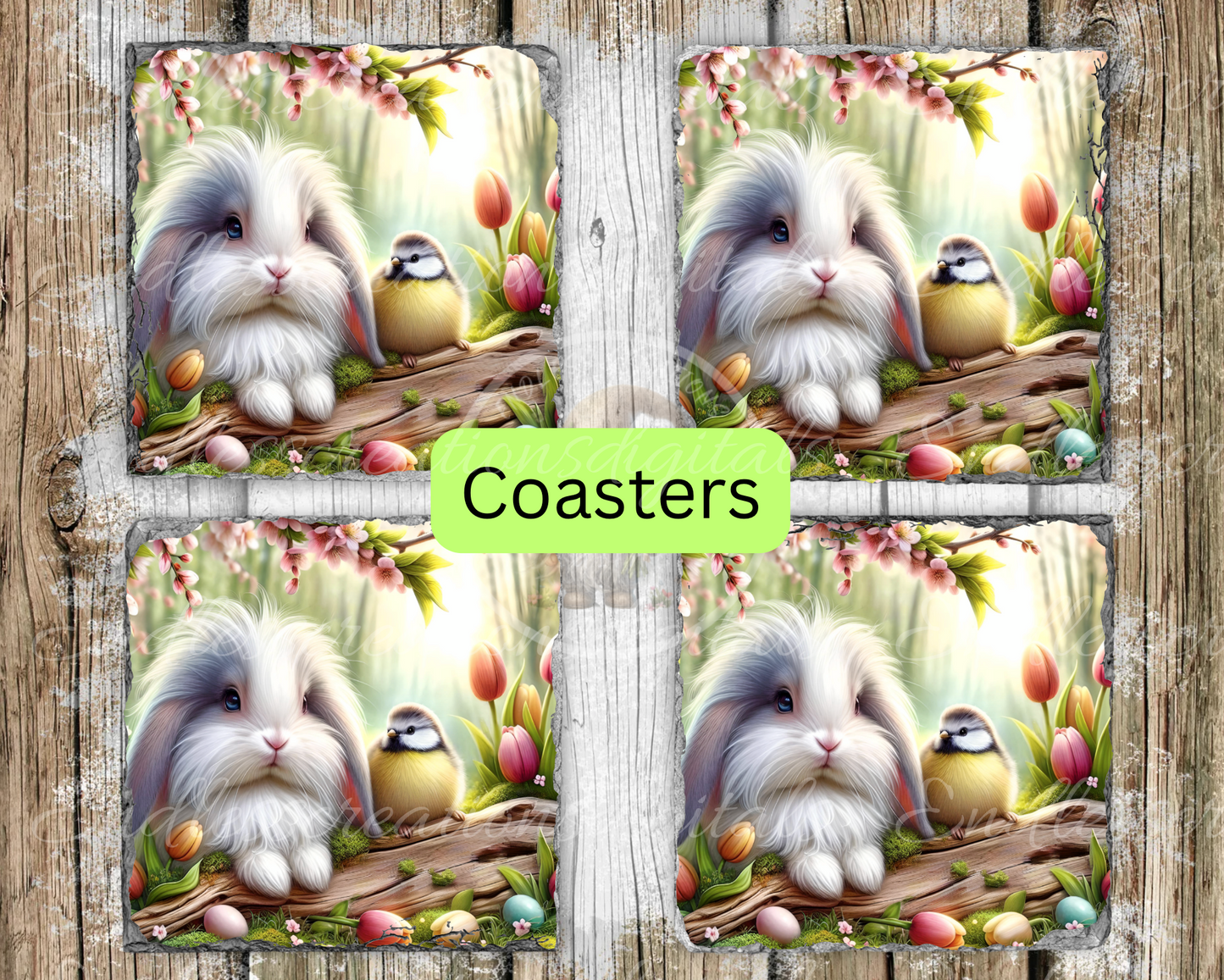 ADORABLE SPRING BUNNY