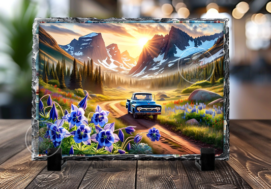 FLORAL MOUNTAINS BLUE TRCUK RECTANGLE