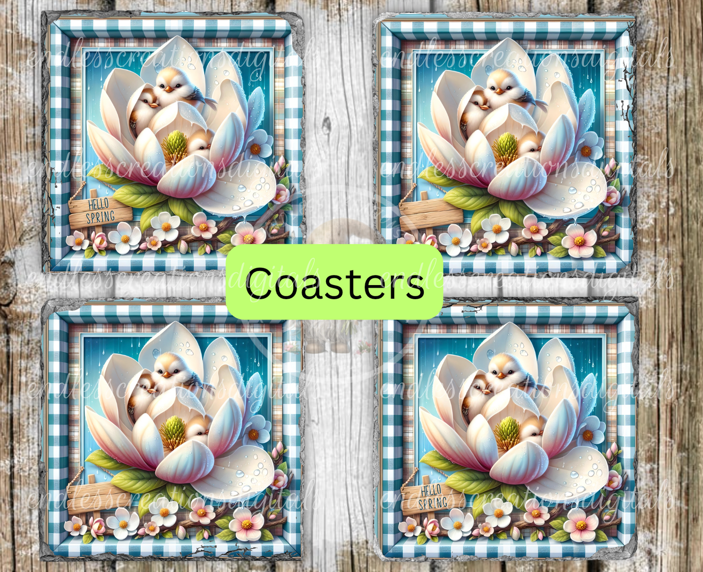 SQUARE SPRING CHICKS