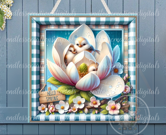 SQUARE SPRING CHICKS