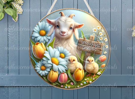 SPRING HAS SPRUNG ROUND