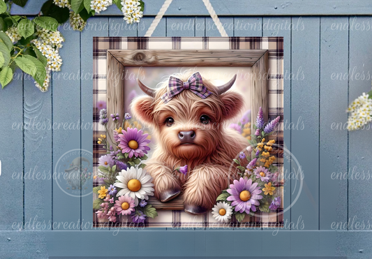 FLORAL HIGHLAND COW DAISIES