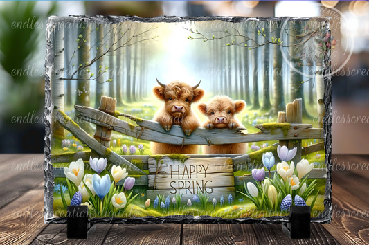 HAPPY SPRING HIGHLANDS COWS