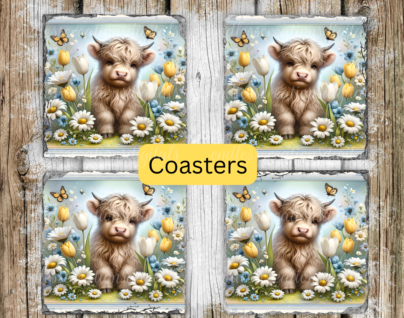 SPRING DAISY FLORAL HIGHLAND