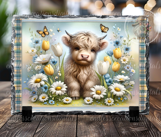 SPRING DAISY FLORAL HIGHLAND