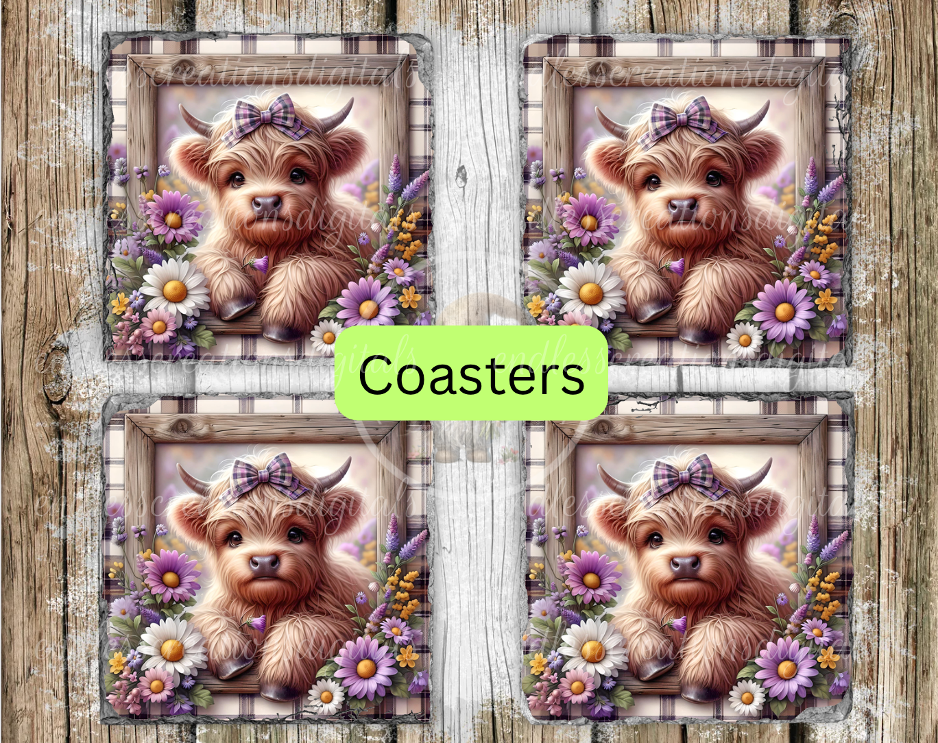 FLORAL HIGHLAND COW DAISIES