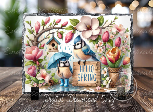 SPRING BABY BLUE Jays digital download only, can be sized for slates, cutting boards, tumblers 2 files, 1 blank for your own text