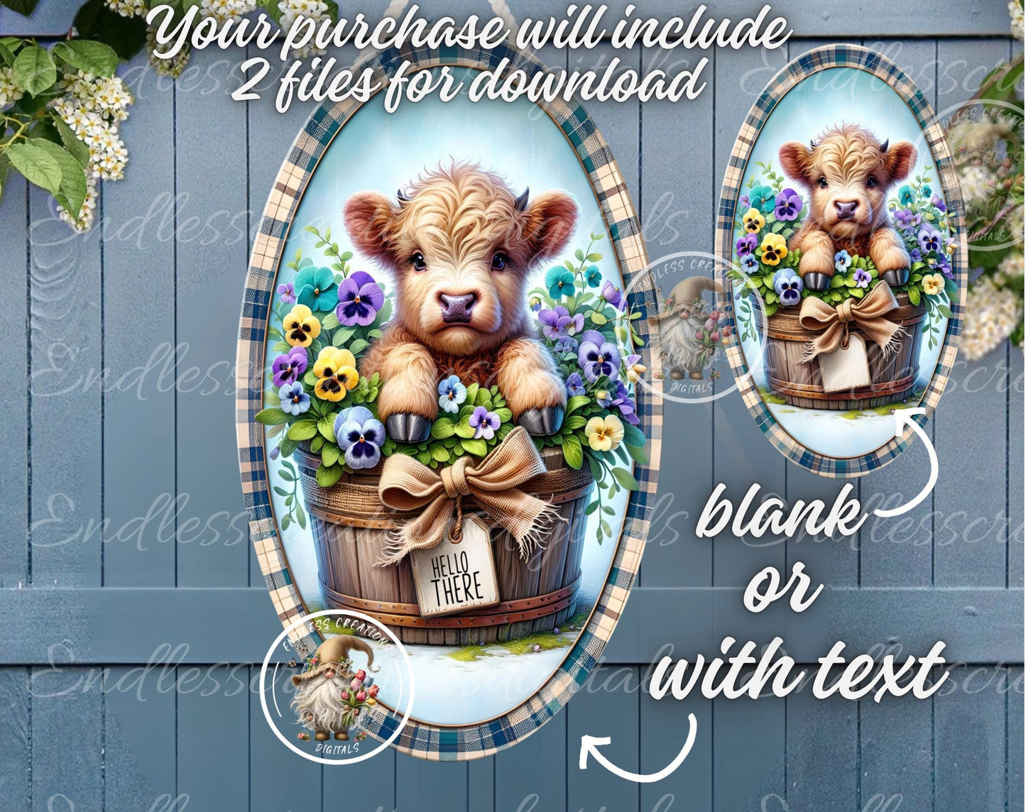 OVAL DIGITALS HIGHLAND PANSIES